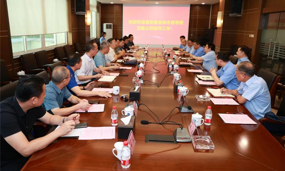 湖南省安委会综合督导组来BSport体育官网督导检查安全生产工作.jpg